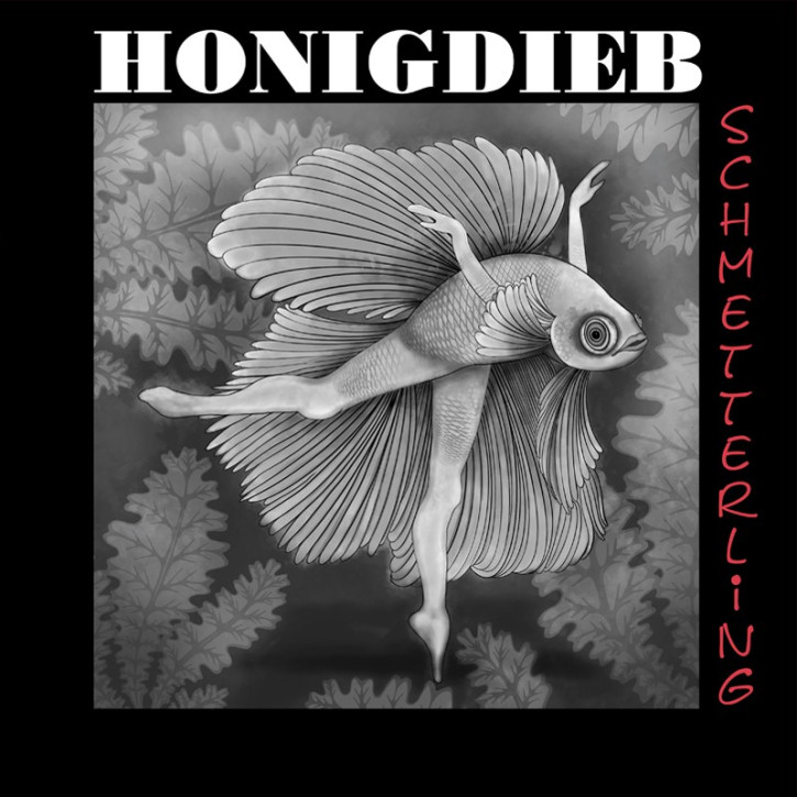 HONIGDIEB - SCHMETTERLING 12