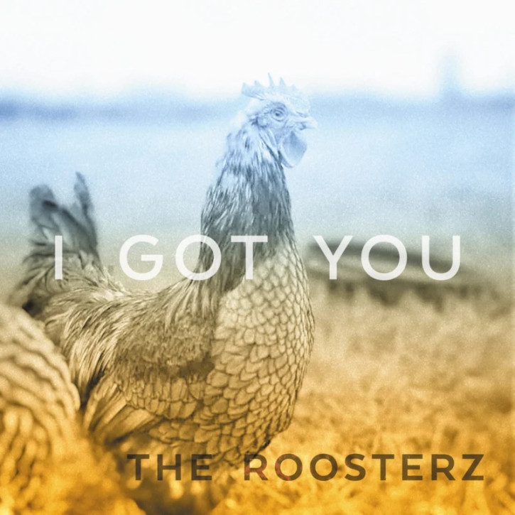 The Roosterz - I Got You 7