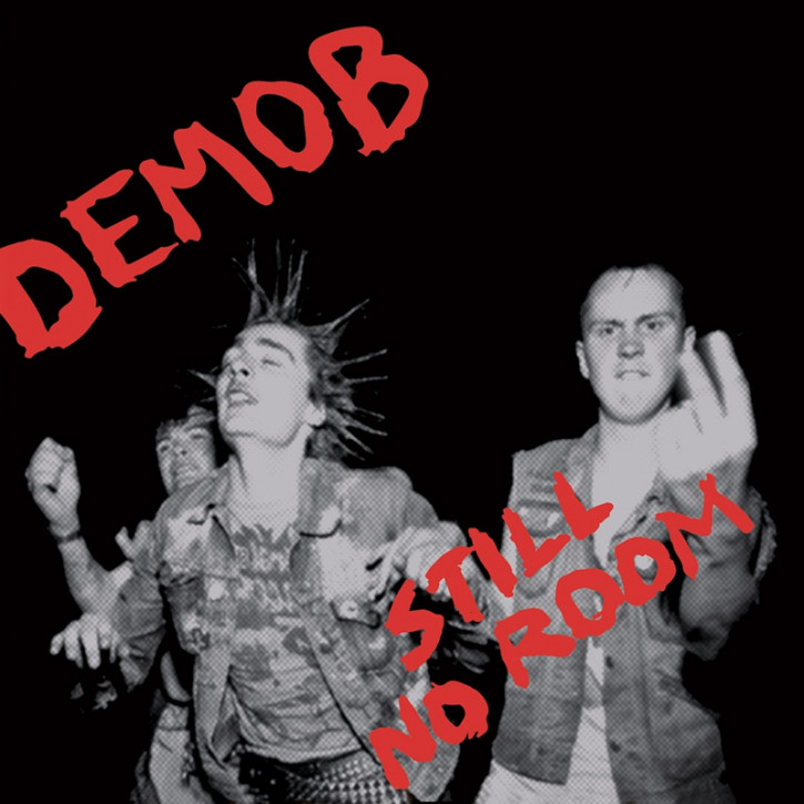 DEMOB STILL NO ROOM LP + CD VINYL SCHWARZ